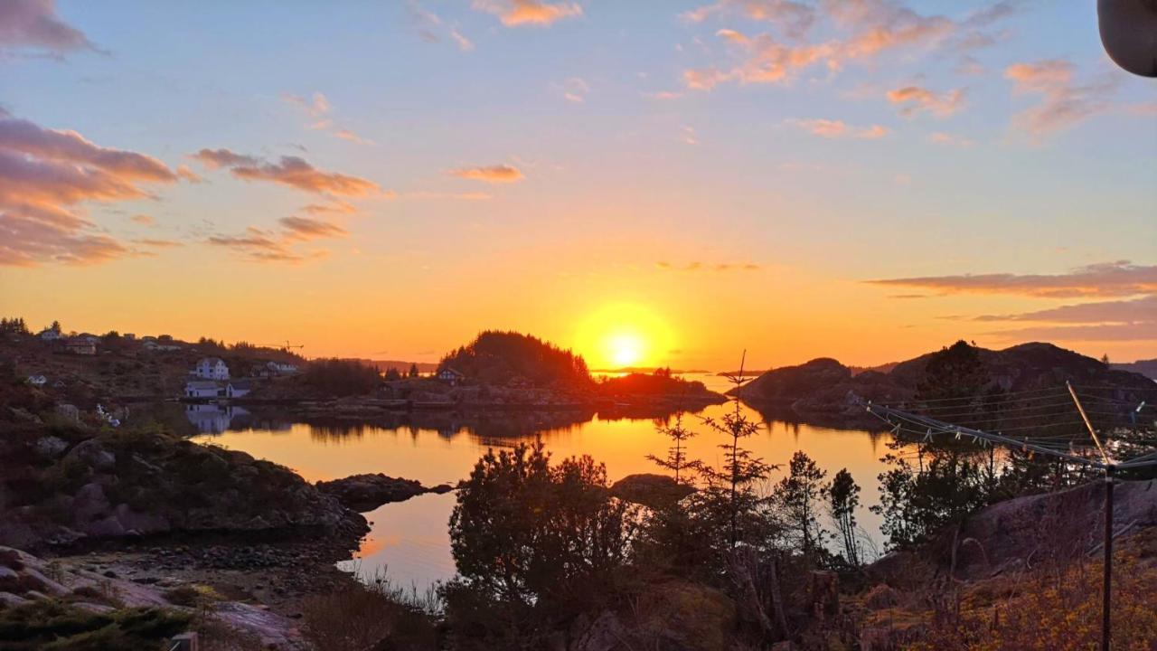 شقة Kobbaneset Hk - Tett Pa Havet - Bekkjarvik المظهر الخارجي الصورة